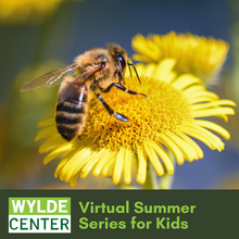 Load image into Gallery viewer, Recording: Pollination Part 1, Native Pollinators with Ms. Sarah!