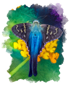 Card | Blue Butterfly