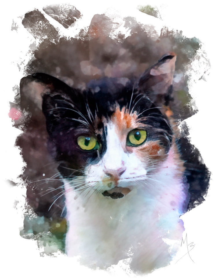 Card | Calico Cat