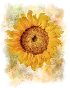 Card | Sunflower