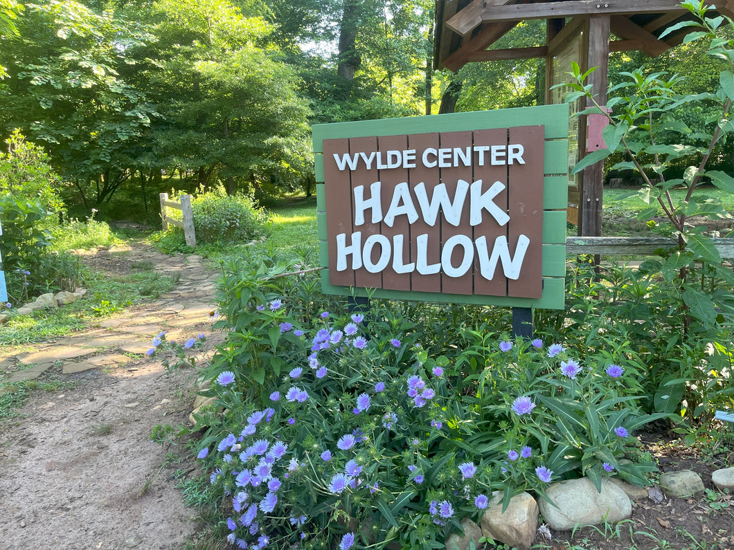 Boxwood Garden Tour at Hawk Hollow 10/15/24