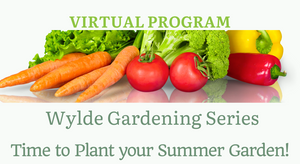 Recording: Growing your Summer Garden