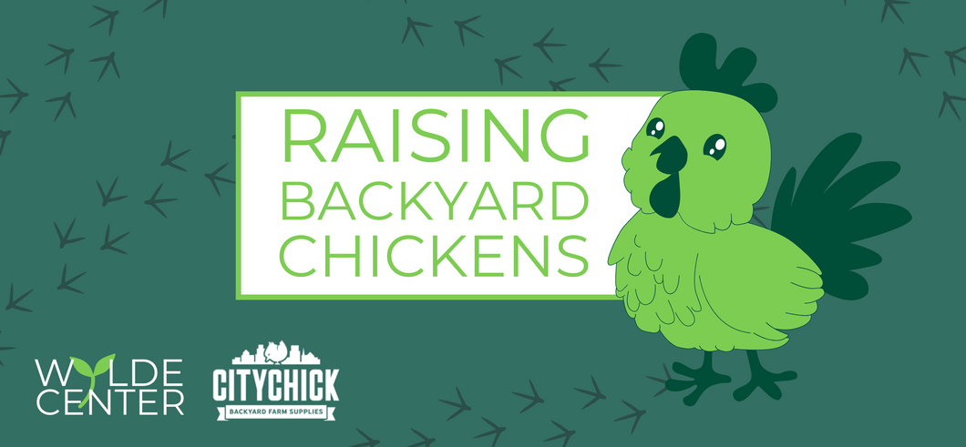 Raising Backyard Chickens