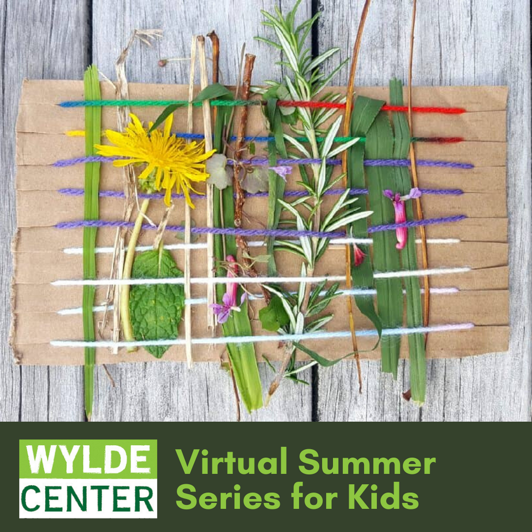 Recording: Nature Crafting | Wall Hangings & Fort Building with Ms. Sarah