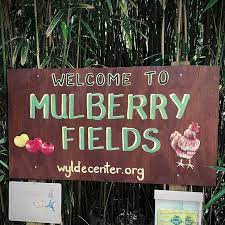 Mulberry Fields Field Trip