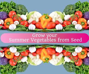 Recording: Grow your Summer Vegetables from Seed (HANDS ON ACTIVITY)