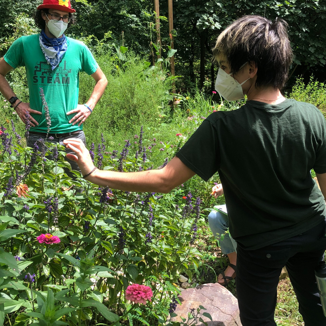 Education Staff Training