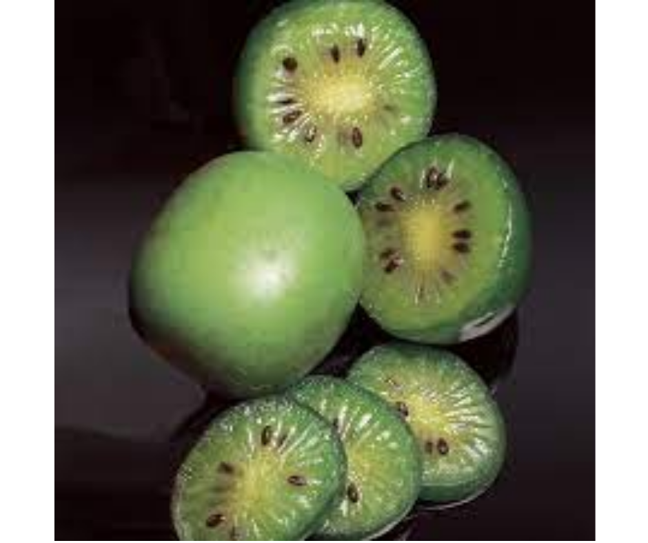 Fruit | Kiwi 'Anna' (female and male pair)