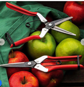 Harvesting Scissors - Staff Wish List
